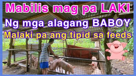 BG AGAWAN BABOY sa PROBINSYA .